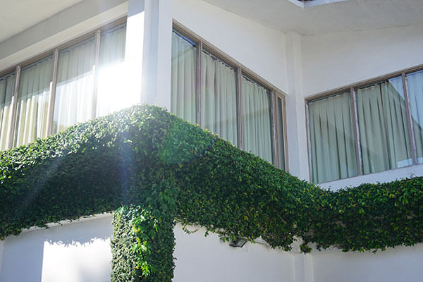 Bright sun reflecting off exterior windows on a white building.